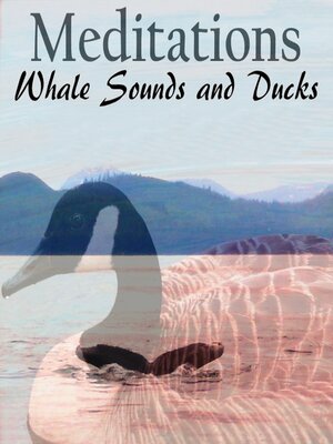 cover image of Whale Sounds and Ducks--Meditations